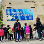 Un'esperienza speciale alla Fondazione Cetacei - Scuole dell’infanzia La Coccinella e Mary Poppins