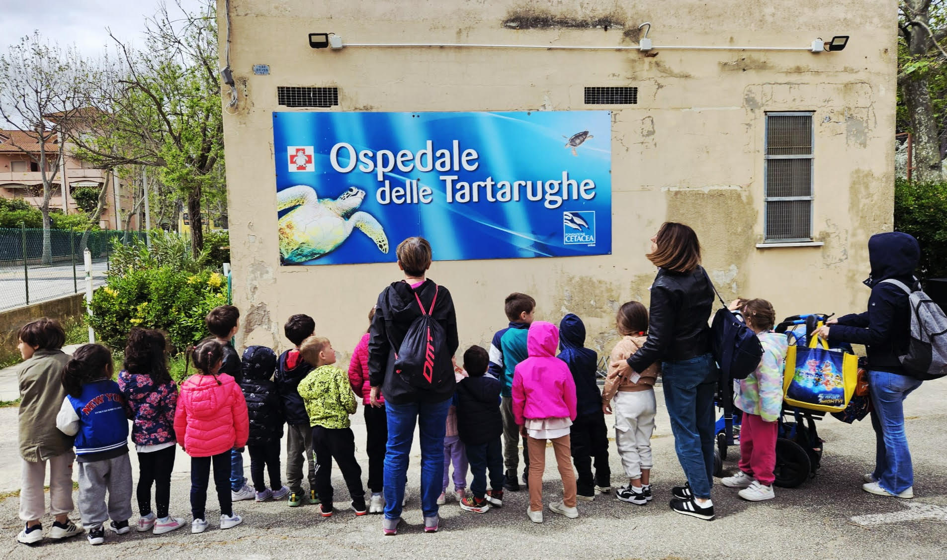 Un'esperienza speciale alla Fondazione Cetacei - Scuole dell’infanzia La Coccinella e Mary Poppins