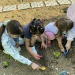 PROGETTO CONTINUITÀ: la scuola dell'infanzia Biancaneve e la scuola primaria Don Milani si incontrano.