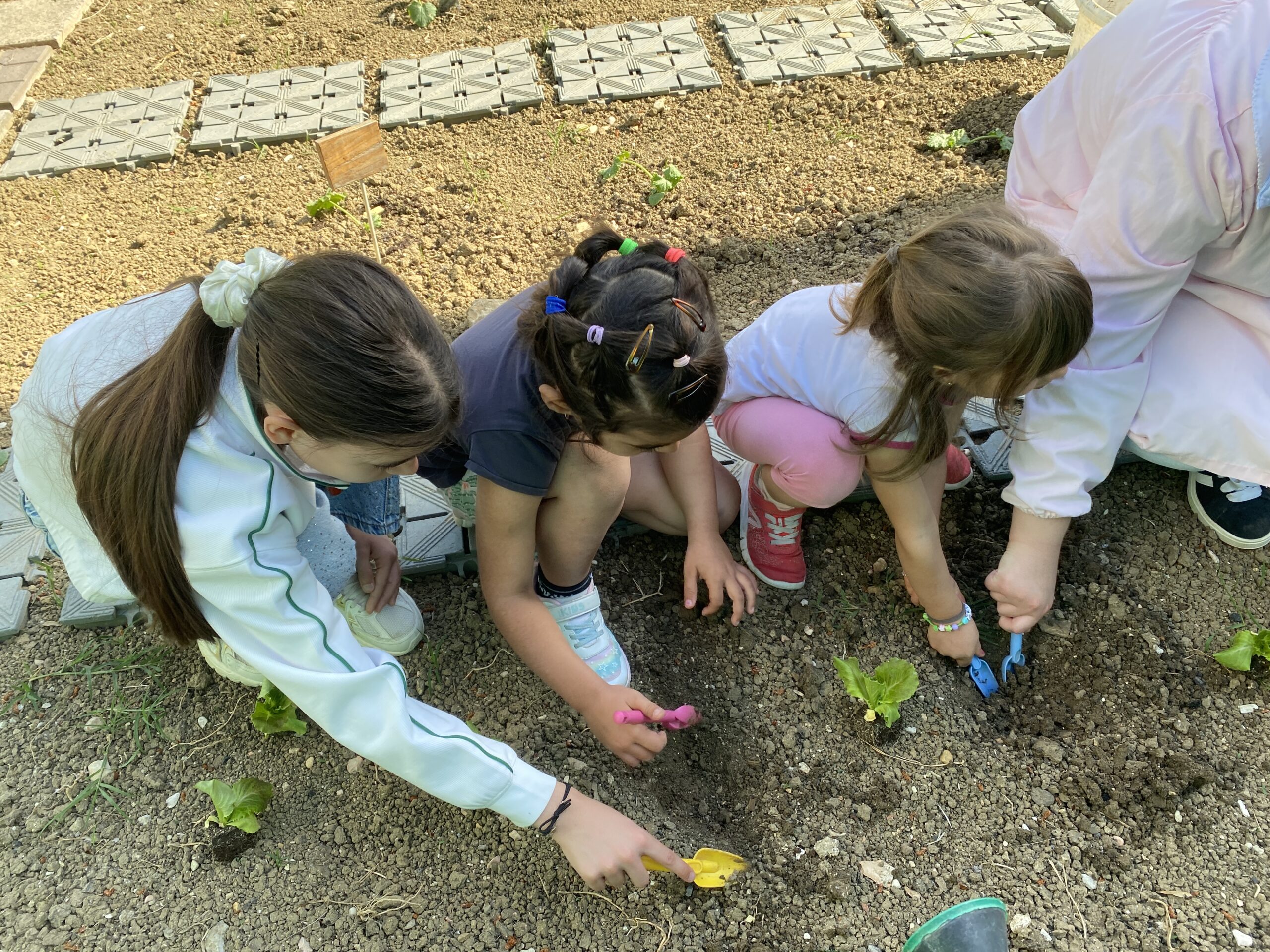PROGETTO CONTINUITÀ: la scuola dell'infanzia Biancaneve e la scuola primaria Don Milani si incontrano.